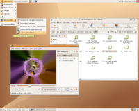 Capture cran de linux Ubuntu